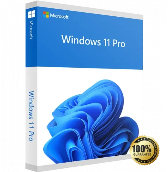 Microsoft Windows 11 Professional 64 bit (Product key)